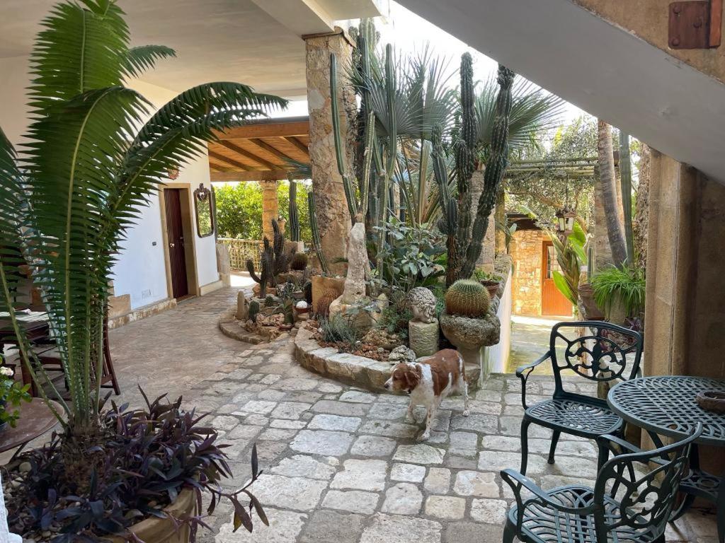Felline In Bed&Breakfast Dimora Di Charme El Salento Bagian luar foto